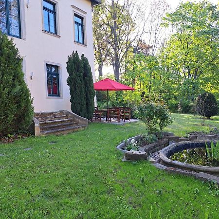 Gaestehaus Villa Seraphinum Дрезден Экстерьер фото